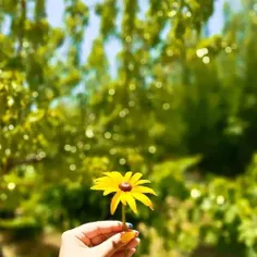 | گم گشته؛در عالمی که پر از هیاهویِ اوست🌱⛵️🌻 |