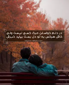 #عکس_نوشته_بانوجان