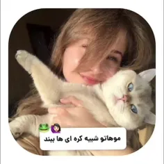 درخواستی برای پست کردن