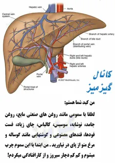 سلامت و تندرستی araqi 16542737