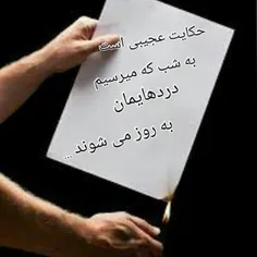 عزیزی میگفت جای گیاهِ بامبو را که عوض کنی دیگر رشد نمیکند