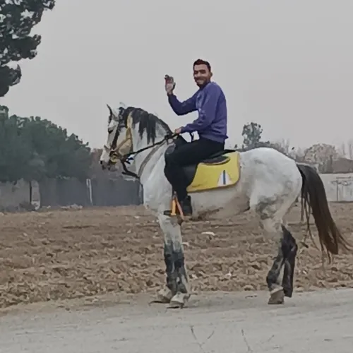 سزار سیلمی پر خون و زیبای با شگاه چابکسواران راگا ما را د