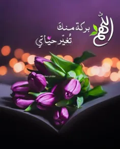 علم و دانش sajjad700 41762931