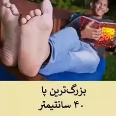 🎥 برخی از عجیب‌ ترین رکورد های ثبت شده در #گینس..!