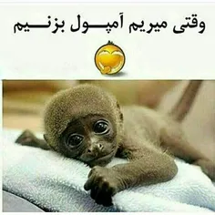 سرما خوردگی خر است. آمپول نمیزنم😢