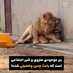 bl شد که........