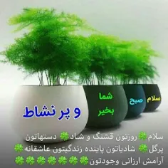 بــه رســم ادب و ارادت هرروز صــبــح ســلــام مــیــدهیــ