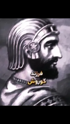🐺 گرگ ایران 🐺