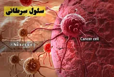 🔴  شایعترین ســـرطان ها در جهان 