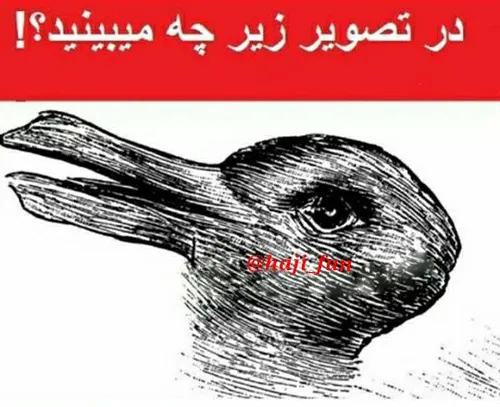 تو نگا اول چی میبینی