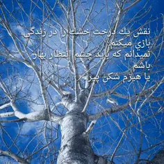 عاشقانه ها amiiiiir111 1083037