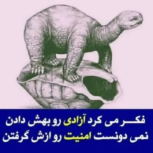 این لاک پشت به بهانه آزادی از لاکش بیرون زده!