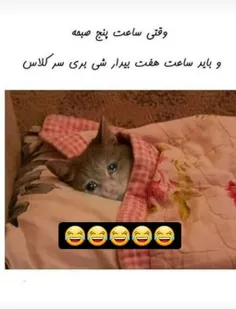 اسلایدهای بعدم ببنیید عالیه😂😜