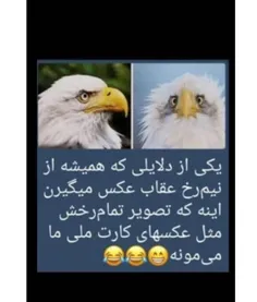 دقیقا😂