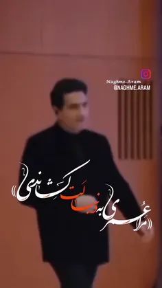 mojtaba_1995 76979393