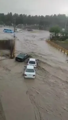 🎥 وضعیت خیابانی مشهد پس از بارندگی یک ساعته
