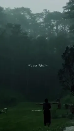 فقط این آهنگ هایده