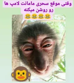 شاخ های مجازی 😝👊🏽