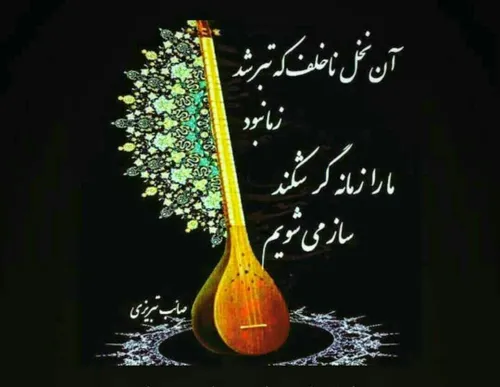 صائب تبریزی