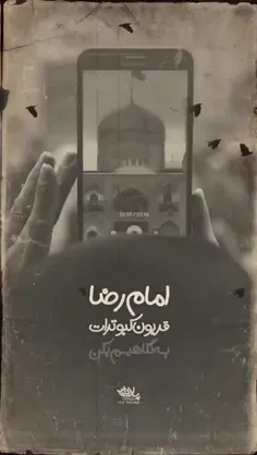 امام رضا قربون کبوترات