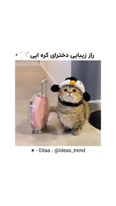 موهاتو کراتین کن تو خونه