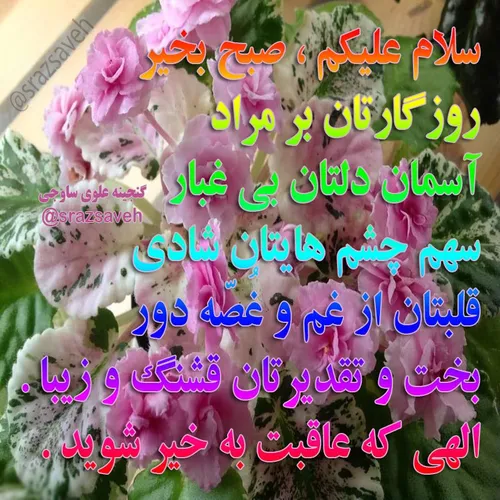 سلام علیکم ، صبح بخیر