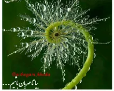 چه پنجشنبه زیبایی خواهد بود