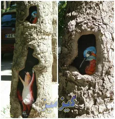 تلفیق هنر نقاشی و طبیعت بر روی بدنه درختان شهر بجنورد🐿