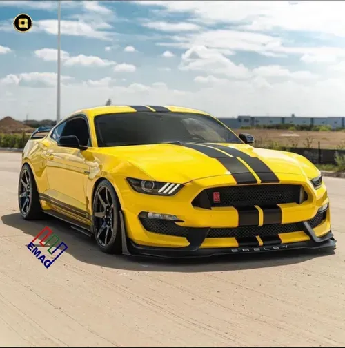 Ford-Mustang GT350R