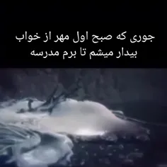 🔥به پیج ما بپیوندید🔥