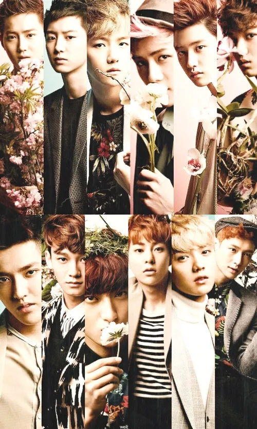 ~{ D.O., Chen, Baekhyun, Kai, Chanyeol, Suho, Luhan, Lay,