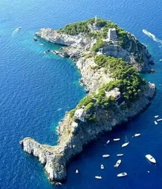 جزیره دلفین ، ایتالیا