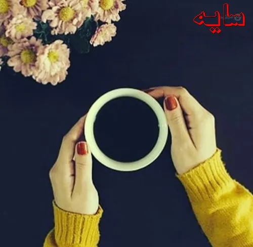 شاید باید جهــان را رها کرد و فنجــانی چای خورد. .