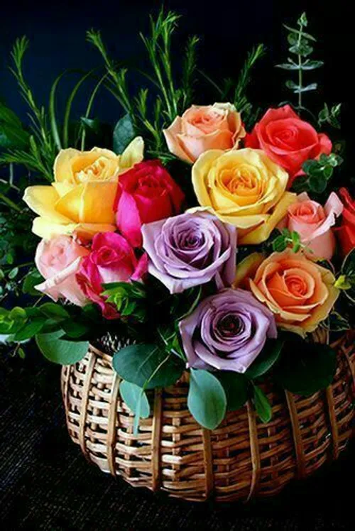 یک سبد گل زیبا و خوش بو تقدیمتان باد دوستان و عزیزان مهرب