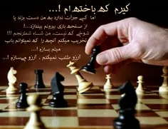هر کس در صفحه ی شطرنج خود ، شاه است !...