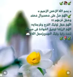السلام علی المهدی‌ عج 
