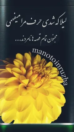 هنر manotoinruzha 33873544