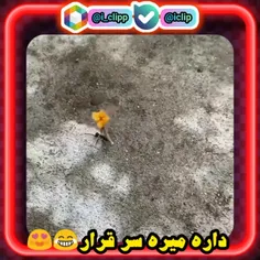 ❤کلی کلیپ  باحال داخل پیج گذاشتم ❤