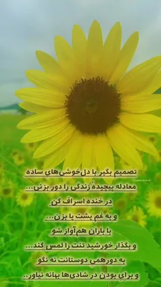 سلام و احترام🌻