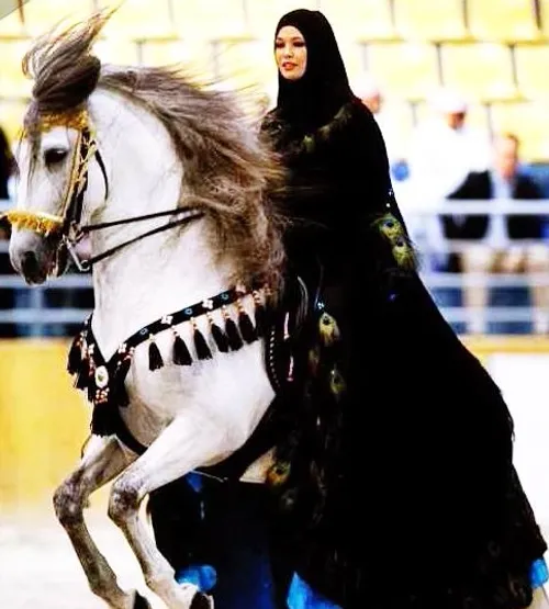 چارلز،دانشجوی انگلیسی با طعنه به دوست و همکلاسی ایرانی اش