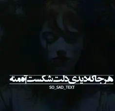 ھر جا دلت شکست 