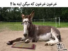 #خرخون