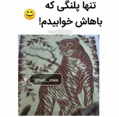 تنها پلنگی که باهاش خوابیدم اینه😂 😐 🐯