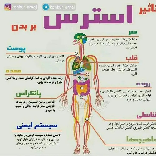 حتما مطالعه کنید