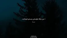 بی نقص بودو خودش این را قبول نداشت:)