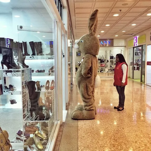 Conejo en el Centro Comercial Andino. Bogotá Colombia rab