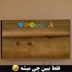 ردمیشید یک ❤️❤️❤️ اینجوری بزاریدلطفا 🕺🕺🕺🕺