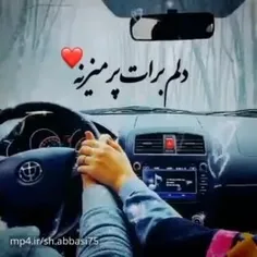 عشقم یجوری پات میمونم همه مات بمونن❤️