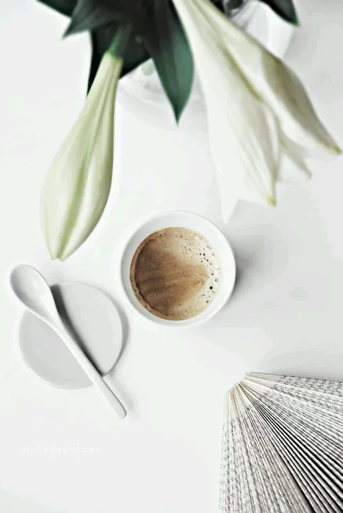 قهوه را بگذار برای روزهای تنهایی