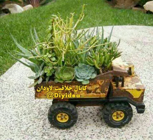 🌵 گلدان کاکتوس خلاقانه